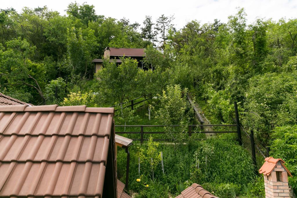 Casa Cu Cerdac Hotel Segesvár Kültér fotó