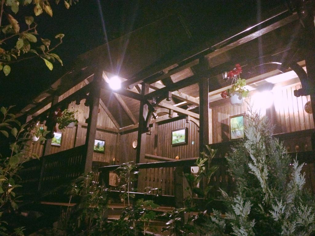 Casa Cu Cerdac Hotel Segesvár Kültér fotó