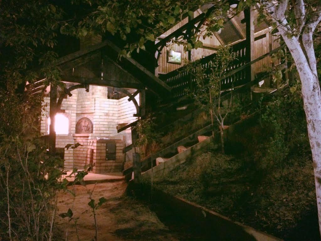 Casa Cu Cerdac Hotel Segesvár Kültér fotó